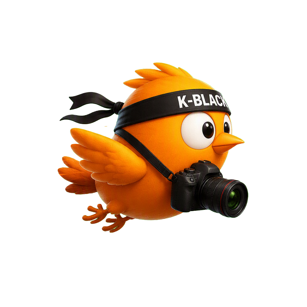 Chơi game K-BLACK
